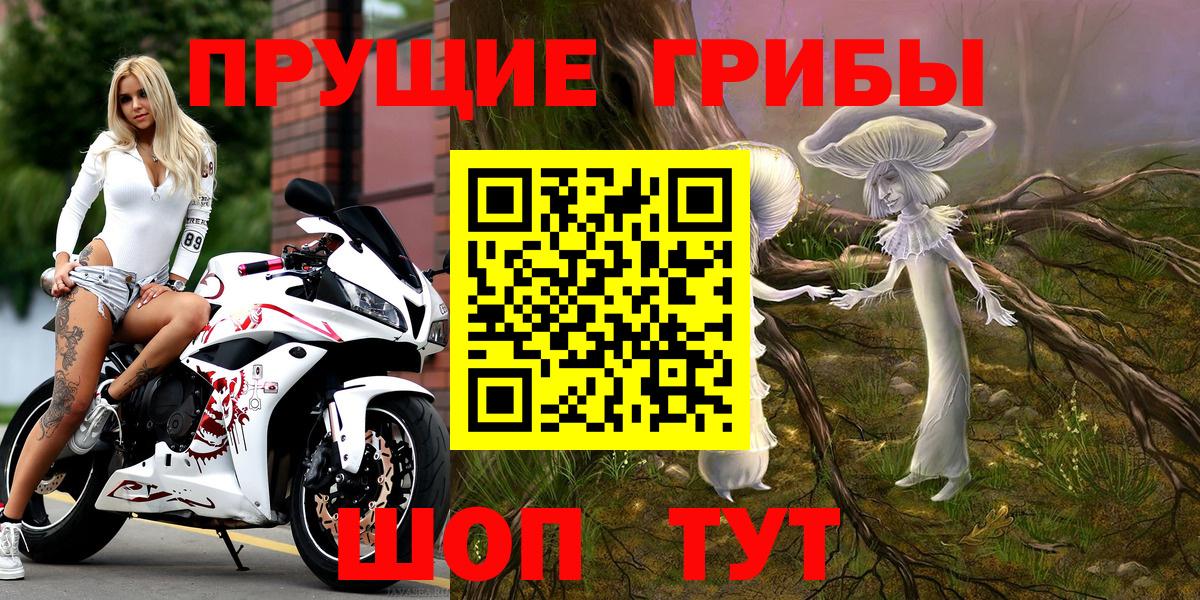 как найти   Псилоцибиновые грибы Psilocybe  Вход с VPN  Янаул 